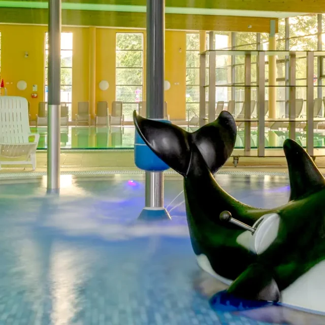 Kinderbereich im Hallenbad mit Orca-Wasserspiel